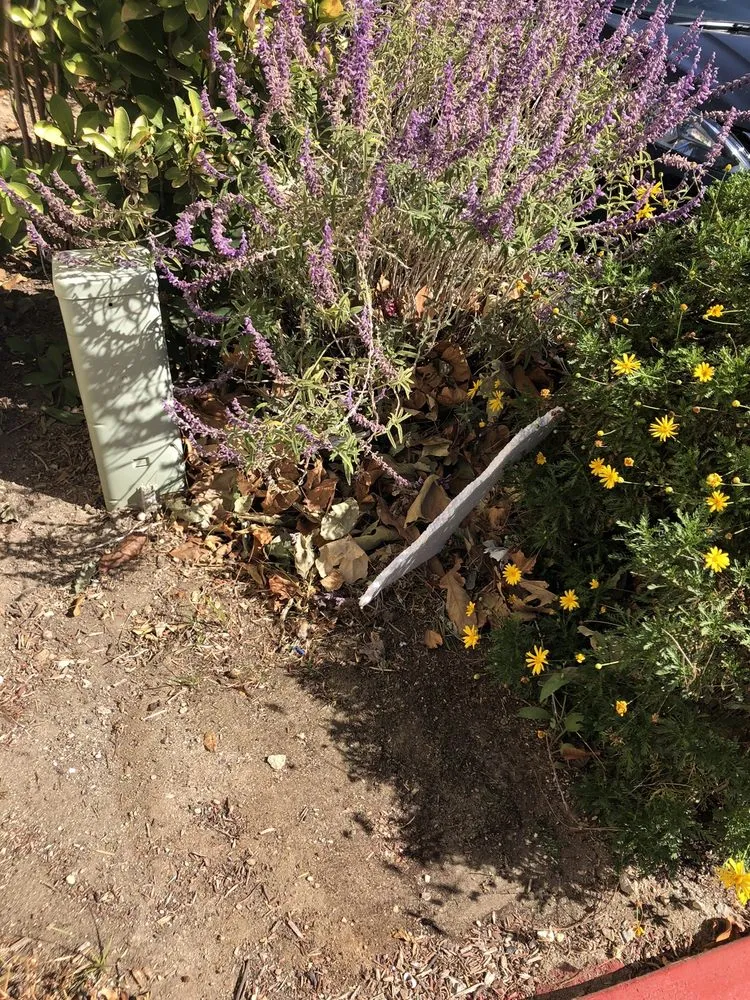 Reliable landscaping services in Santa Clarita, CA - Gothic Grounds Management