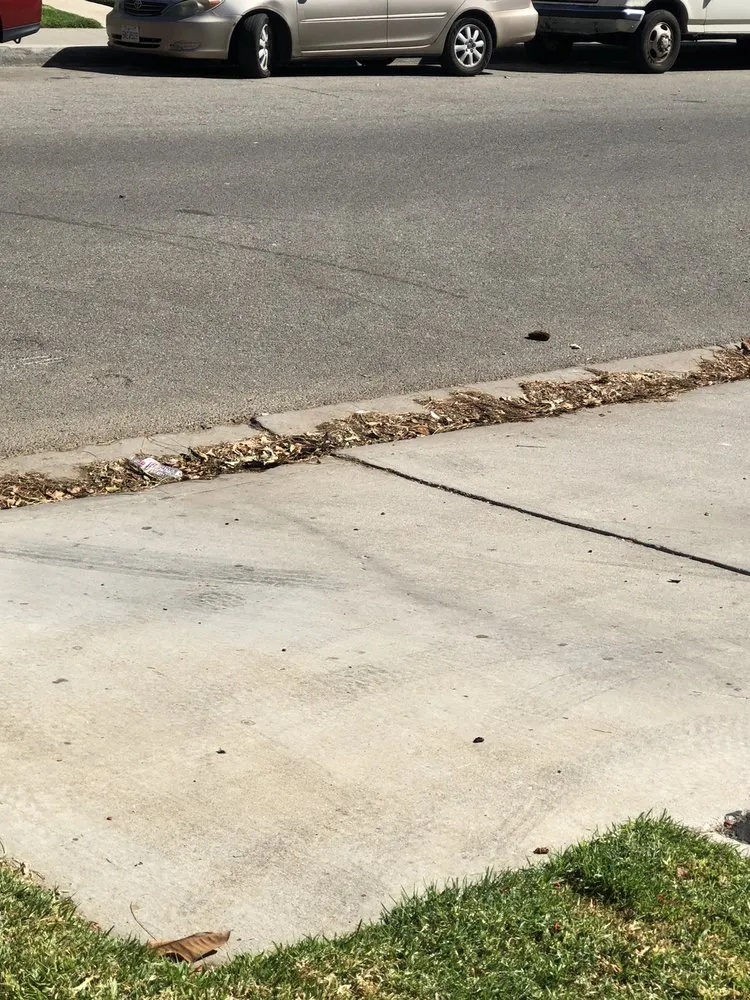 Expert landscape design in Santa Clarita, CA by Gothic Grounds Management