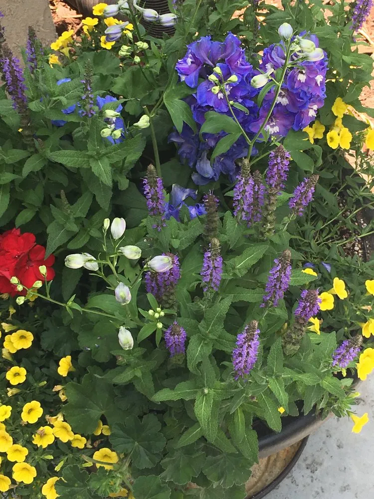 Custom lawn mowing service with custom design across Santa Clarita, CA - Gothic Grounds Management