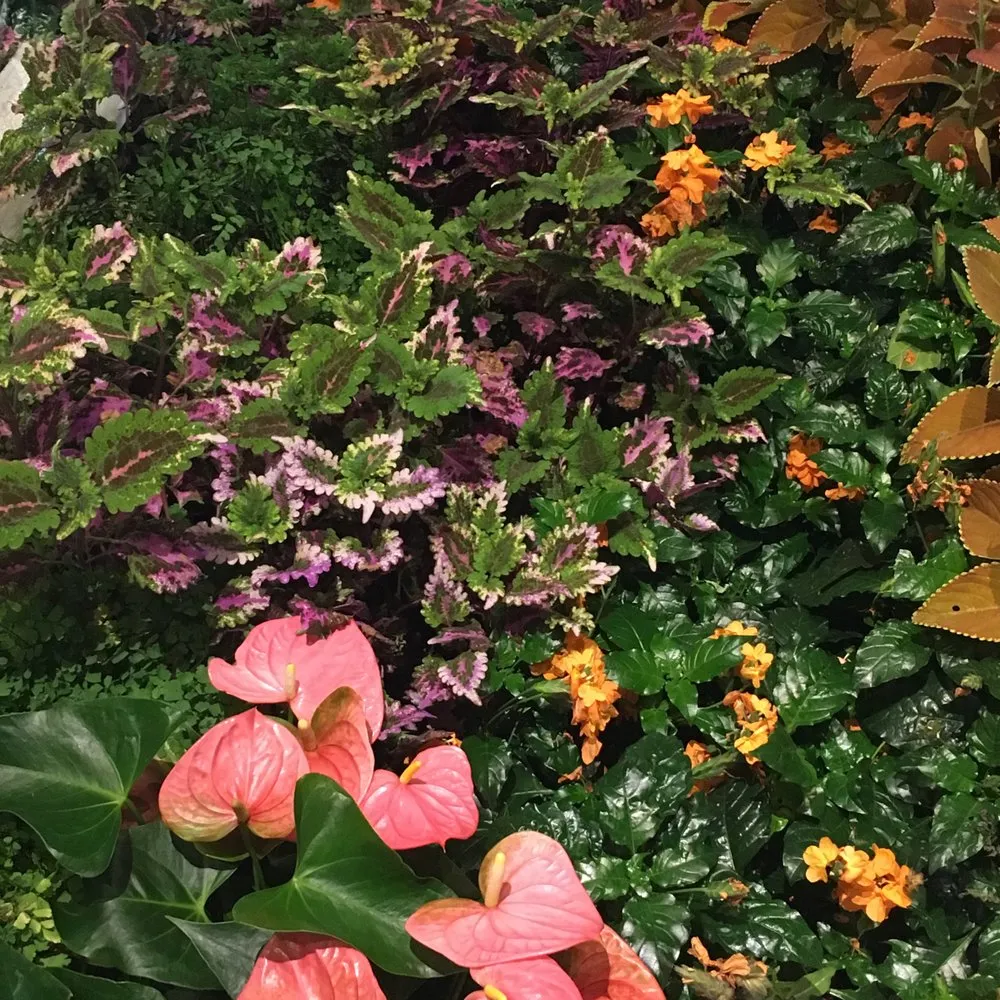 Custom yard cleanup service for outdoor upgrades in Santa Clarita, CA by Gothic Grounds Management