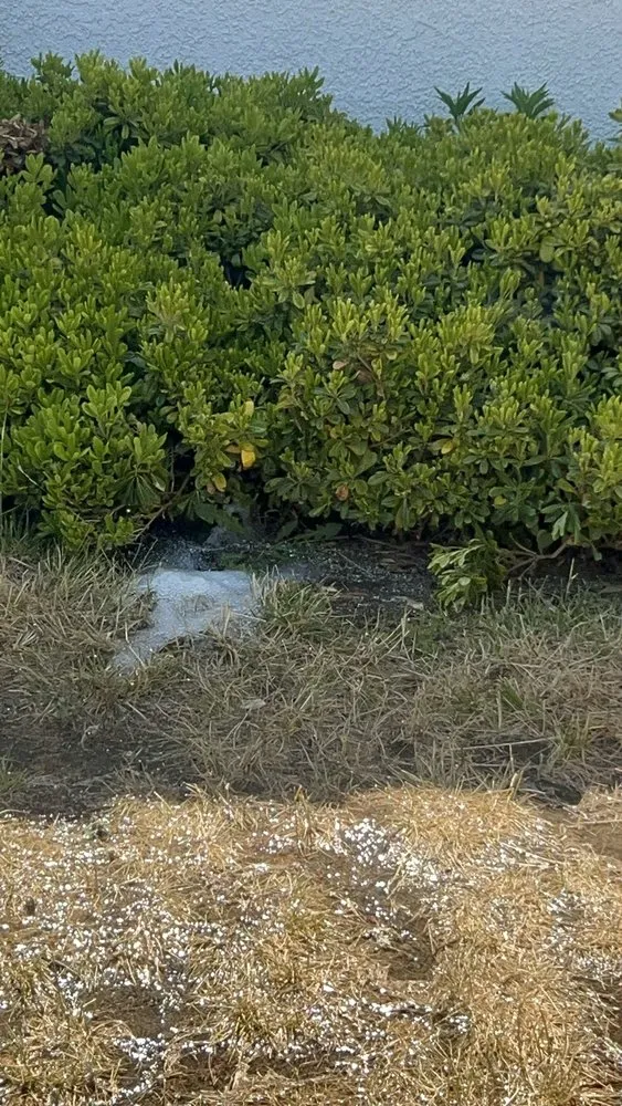 Affordable landscape design experts serving Riverside, CA - Gothic Landscape