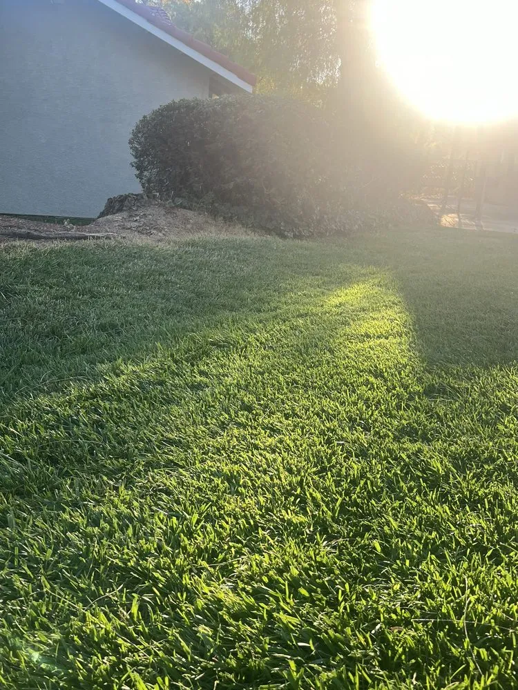 Local residential landscaping experts serving Riverside, CA - Gothic Landscape