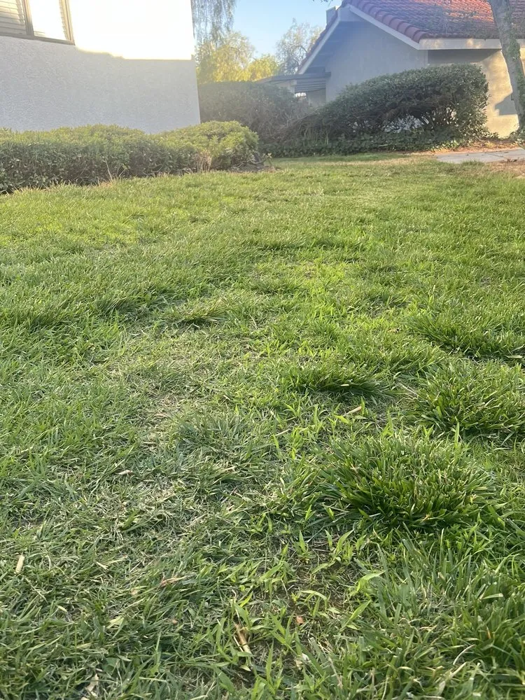 Local landscaping services experts serving Riverside, CA - Gothic Landscape