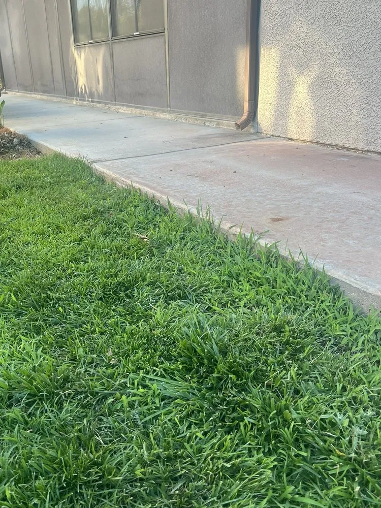 Reliable yard maintenance in Riverside, CA - Gothic Landscape