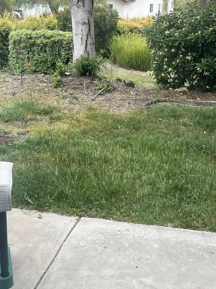 Professional landscaping services for residential properties across Riverside, CA - Gothic Landscape