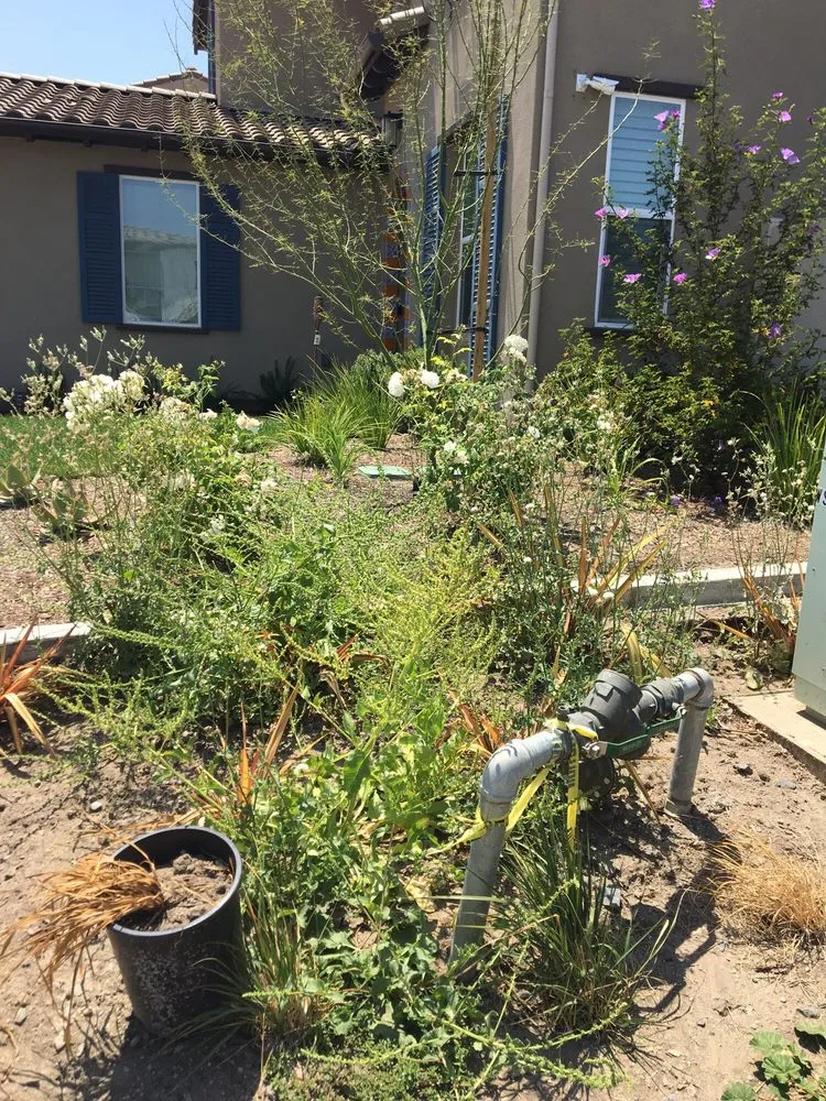 Professional landscaping services experts serving Riverside, CA - Gothic Landscape