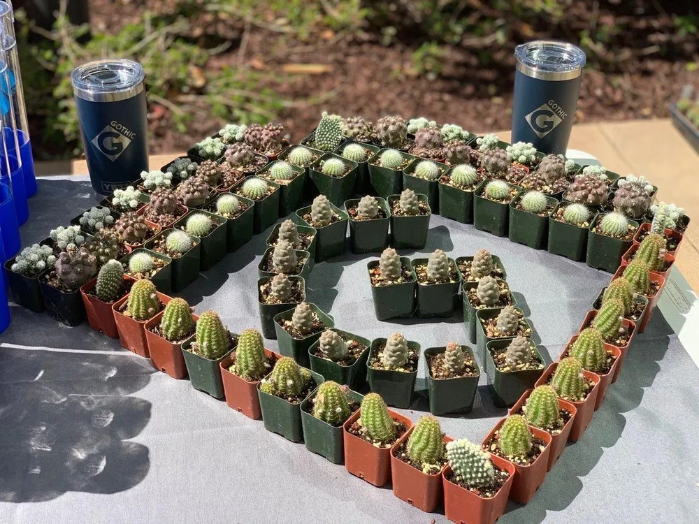 Professional yard maintenance in Valencia, CA by Gothic Landscape