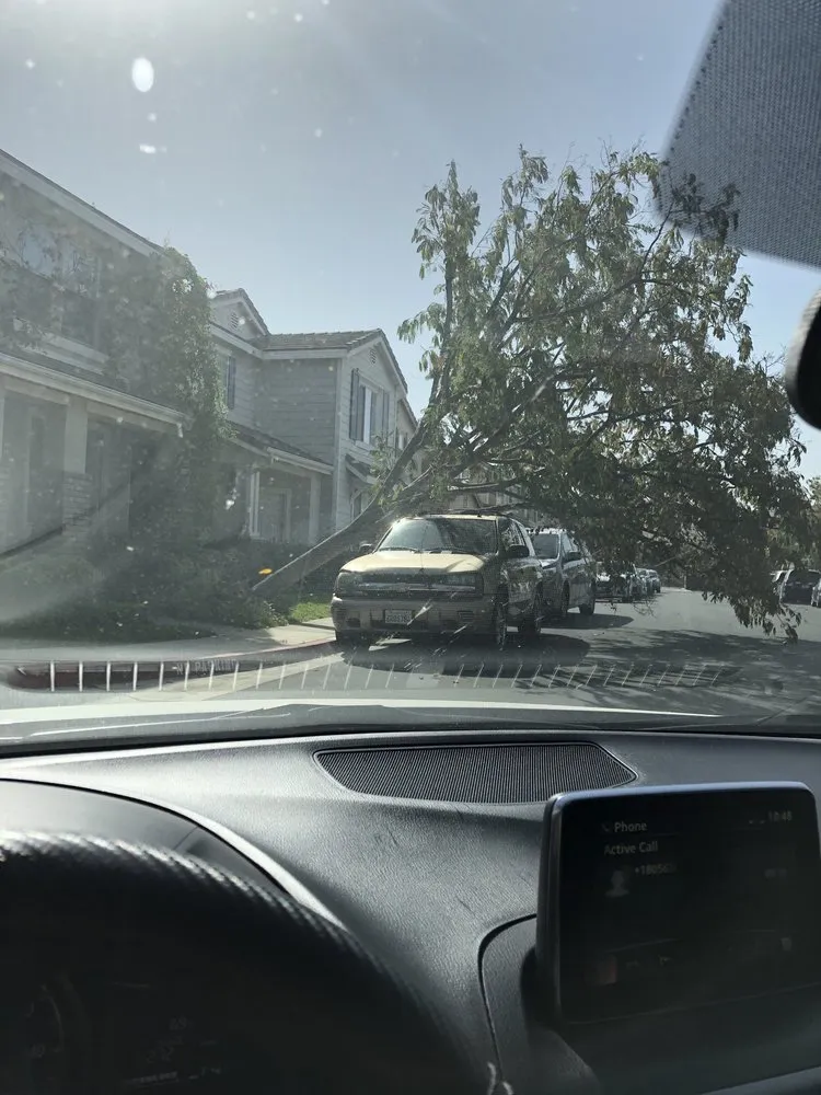 Affordable landscape installation for outdoor upgrades in Valencia, CA by Gothic Landscape