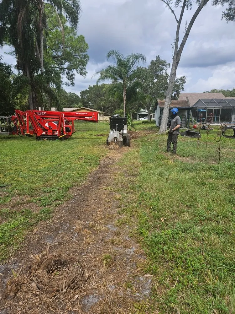 Top-rated landscaping services with custom design across Clearwater, FL - Gotta Be Green