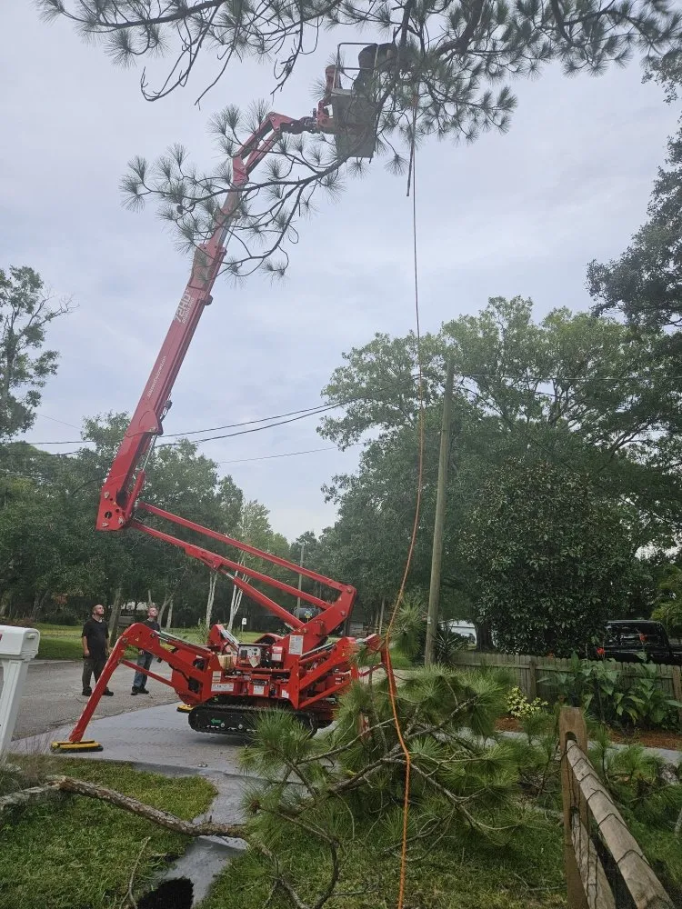 Affordable landscape installation in Clearwater, FL by Gotta Be Green