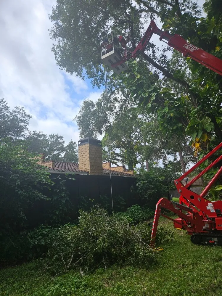 Trusted yard maintenance experts serving Clearwater, FL - Gotta Be Green