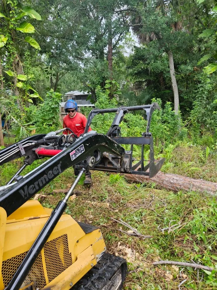 Expert garden landscaping experts serving Clearwater, FL - Gotta Be Green