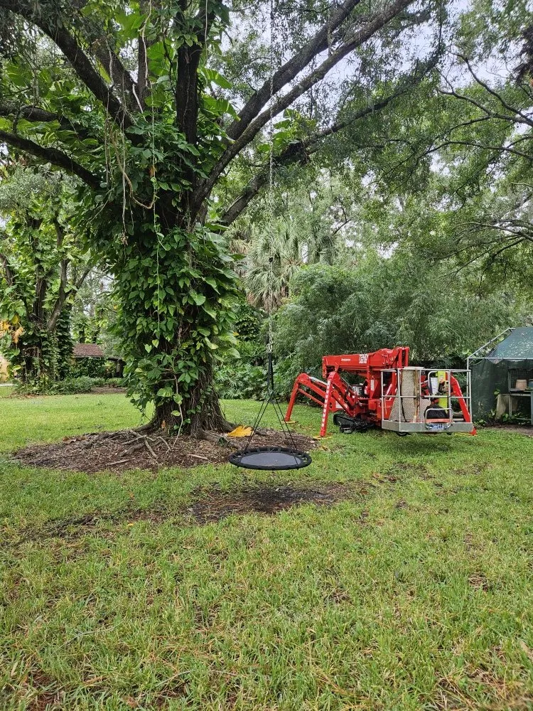 Expert yard cleanup service with custom design in Clearwater, FL by Gotta Be Green