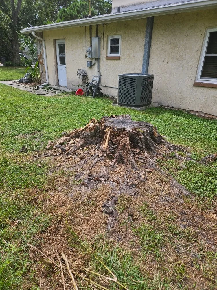 Expert residential landscaping for residential properties in Clearwater, FL by Gotta Be Green