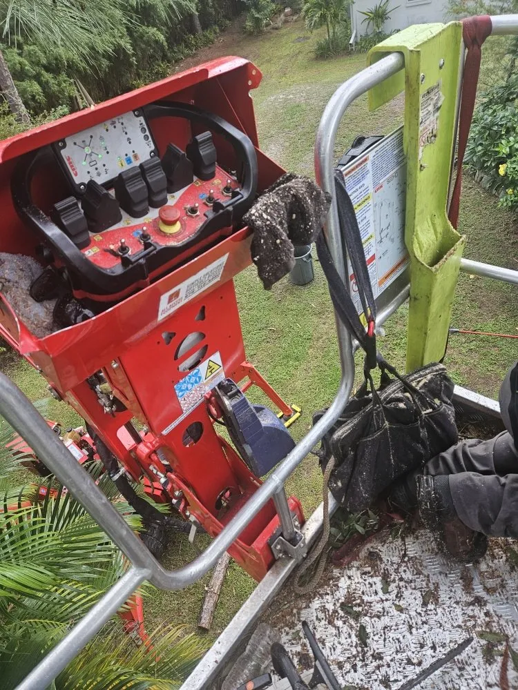 Top-rated outdoor landscaping experts serving Clearwater, FL - Gotta Be Green