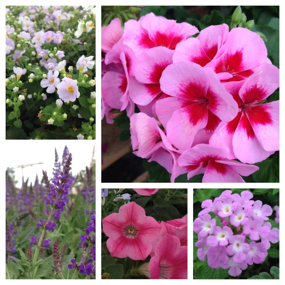 Top-rated lawn care service experts serving Winfield, KS - Gottlob Lawn & Landscape