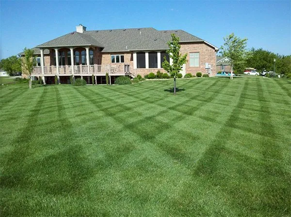 Local yard cleanup service in Winfield, KS - Gottlob Lawn & Landscape