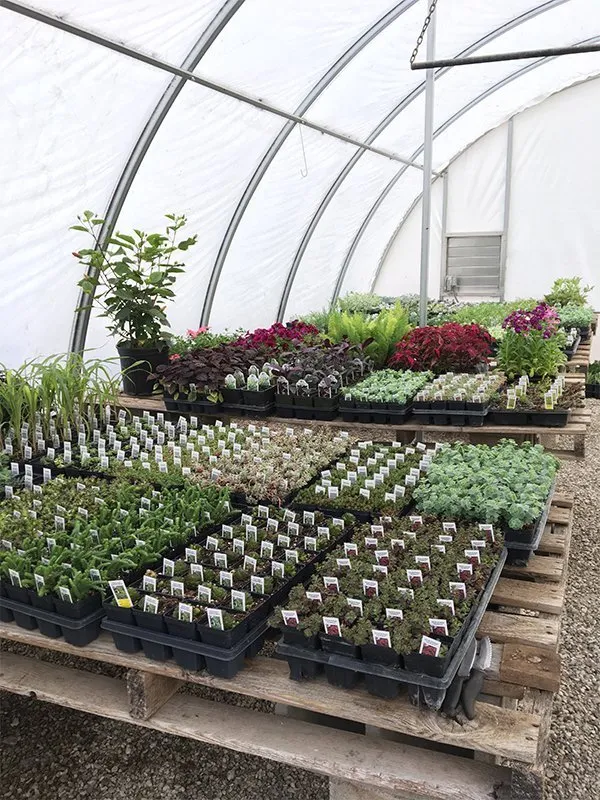 Expert landscape installation in Winfield, KS by Gottlob Lawn & Landscape