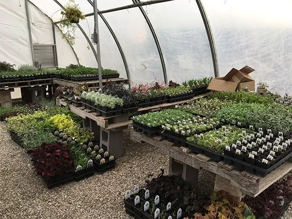 Expert outdoor landscaping with custom design in Winfield, KS by Gottlob Lawn & Landscape