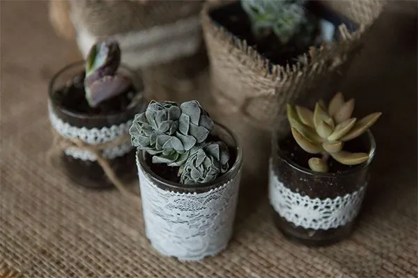 Gottlob Lawn & Landscape