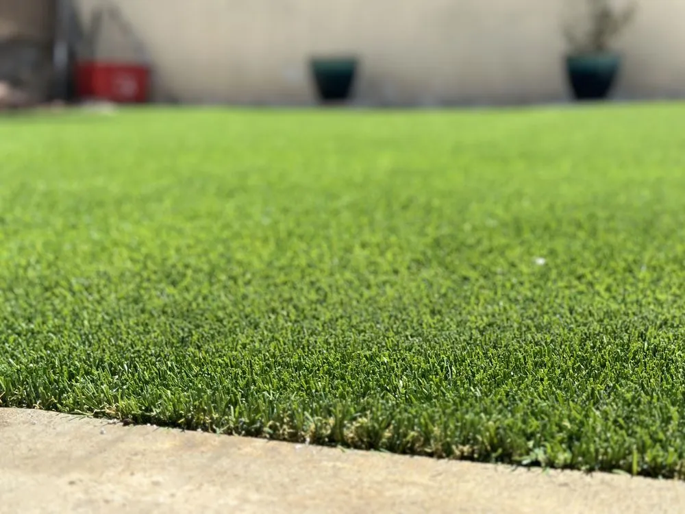 Affordable lawn care service for residential properties in Oceanside, CA by GoTurf Direct