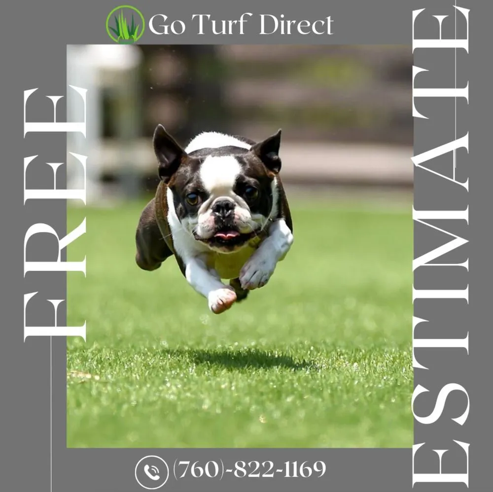 Top-rated lawn care service for beautiful yards in Oceanside, CA by GoTurf Direct