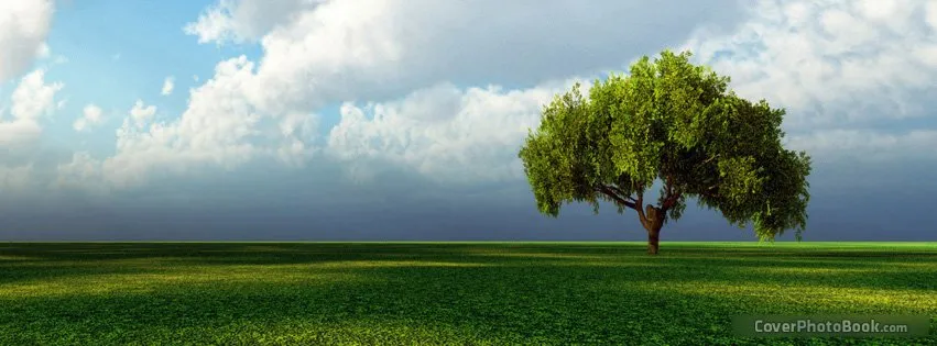 Reliable lawn care service experts serving Saint Charles, AR - Goudelock Services & Landscaping