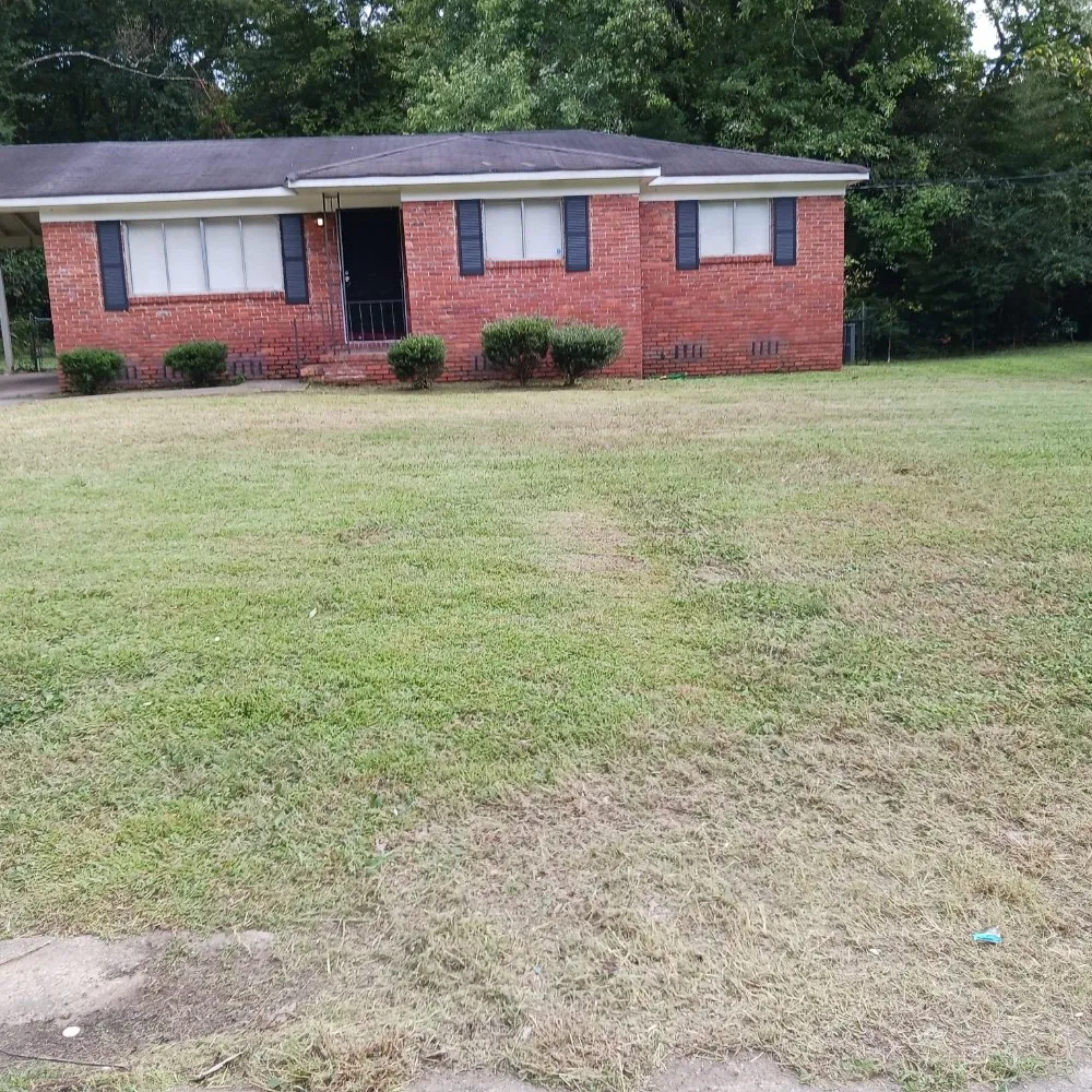 Professional outdoor landscaping in Birmingham, AL - Goudy