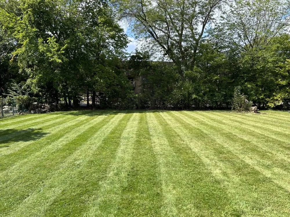 Affordable yard cleanup service in New Lenox, IL - Gougar Crossing Lawn Maintenance