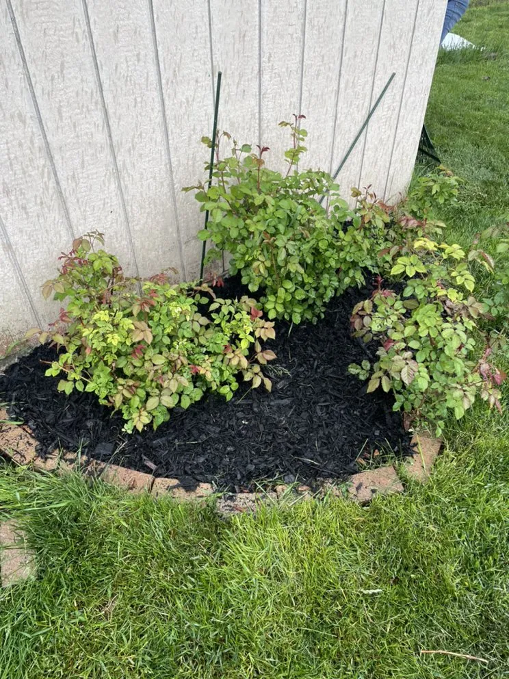 Local landscape design for residential properties across Kentwood, MI - Goulden landscaping