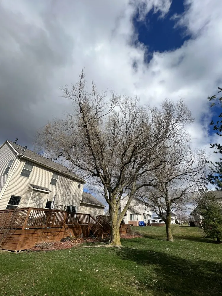 Affordable yard cleanup service for residential properties across Ypsilanti, MI - Gould’s Lawn Care and Landscaping