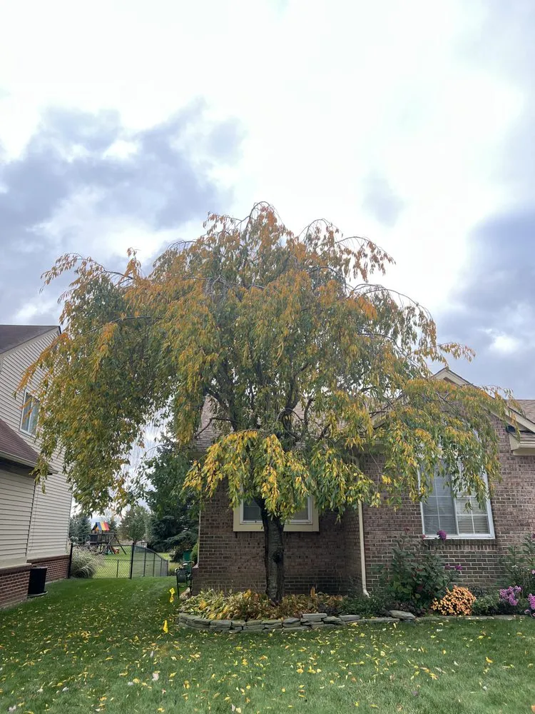 Reliable garden landscaping in Ypsilanti, MI by Gould’s Lawn Care and Landscaping