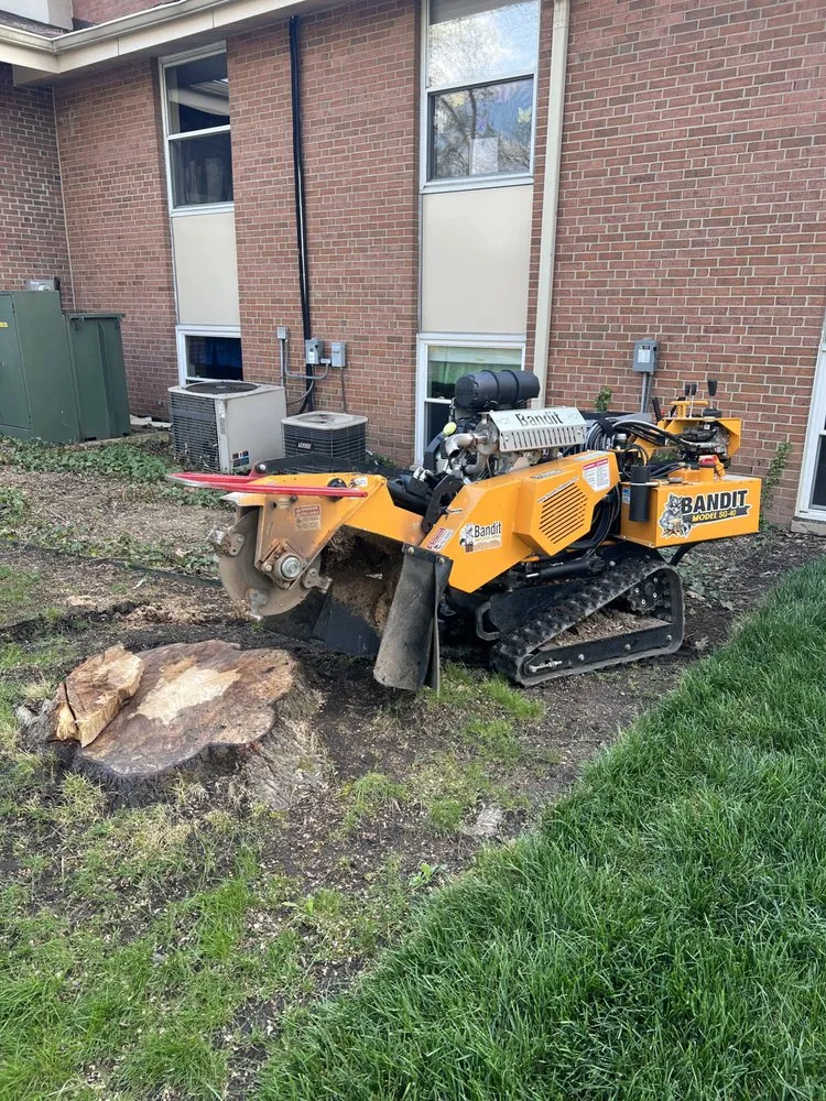 Reliable landscaping services for year-round maintenance in Ypsilanti, MI by Gould’s Lawn Care and Landscaping