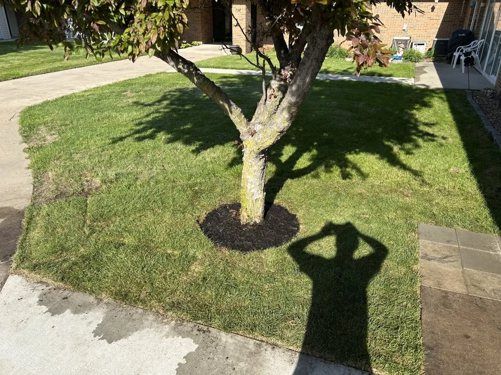 Professional lawn mowing service with custom design in Solon, IA by Gould’s Lawn Care And Yard Clean Up