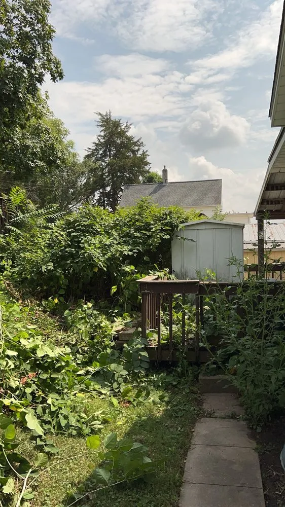 Affordable yard maintenance in Solon, IA by Gould’s Lawn Care And Yard Clean Up