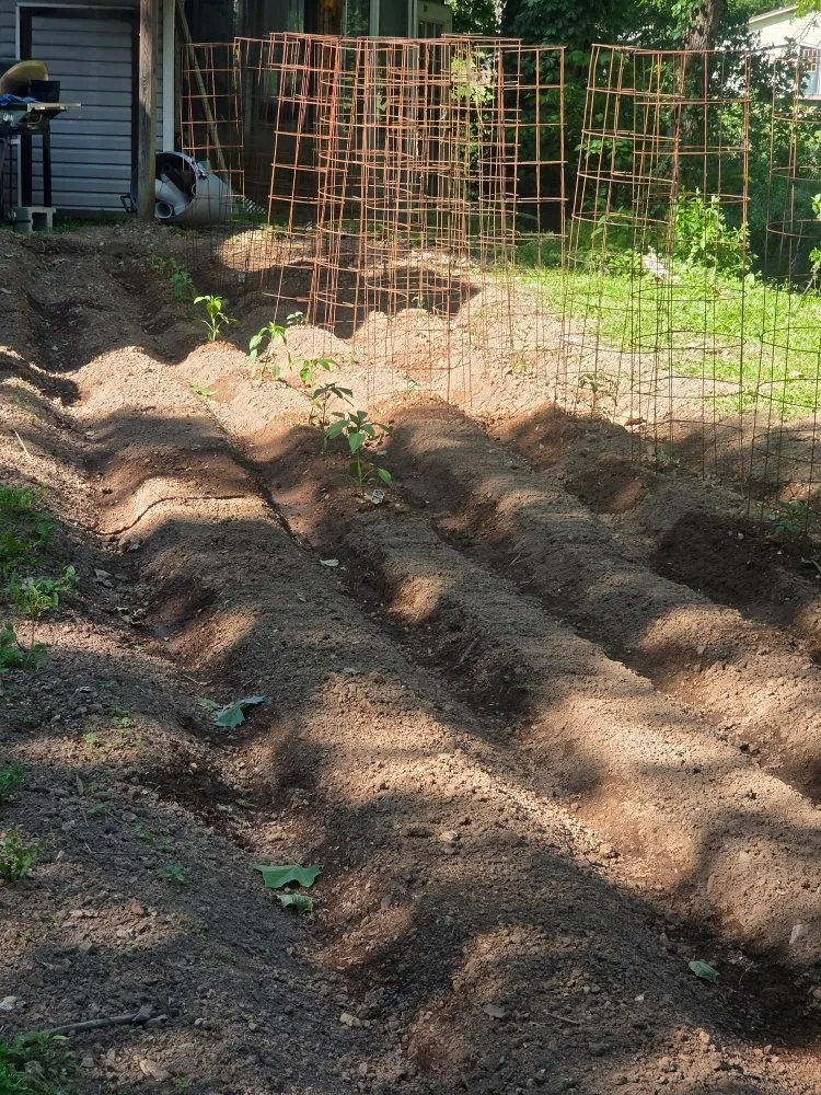 Top-rated lawn mowing service for year-round maintenance in Berryville, AR by Gourmet Landscaping