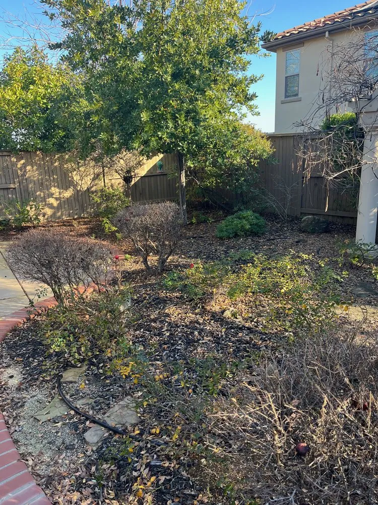 Local outdoor landscaping for beautiful yards in El Dorado Hills, CA by Gove Landscape Construction