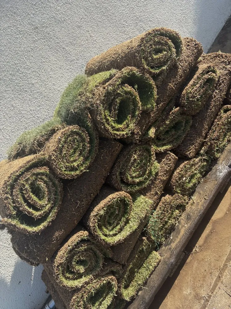 Professional landscaping services in Fresno, CA - Gover Green Landscaping