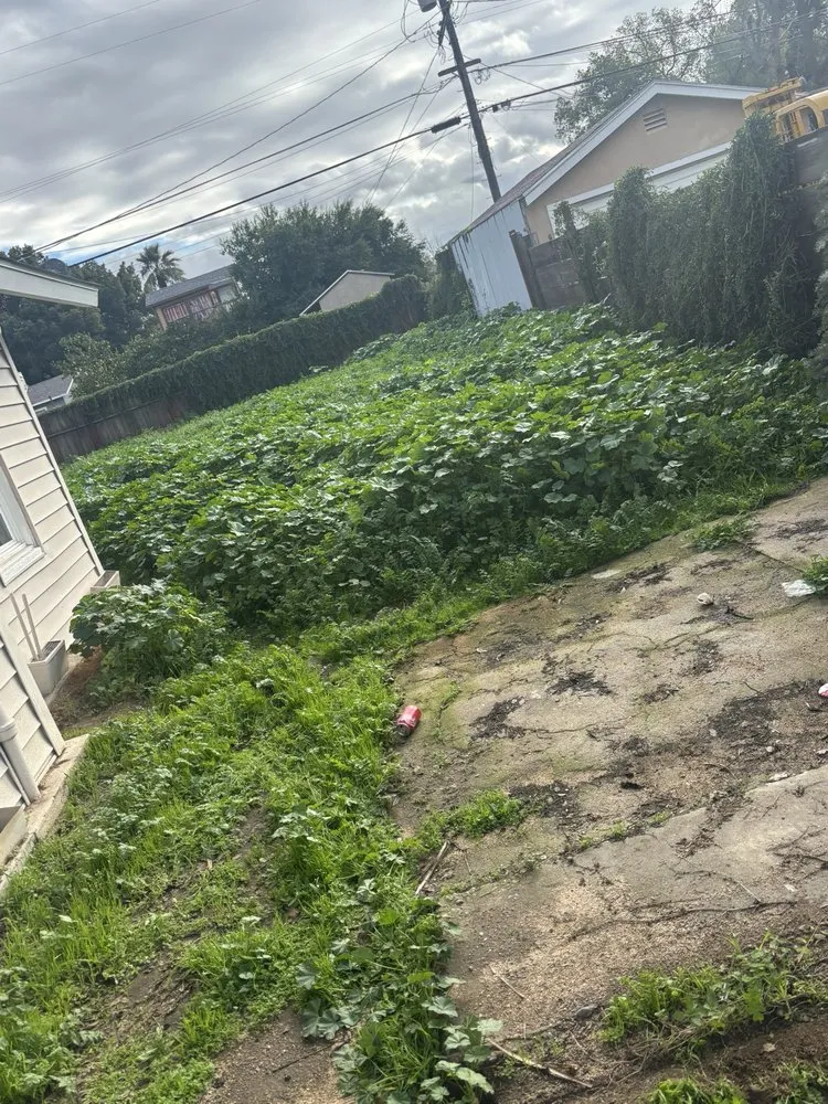 Local garden landscaping in Fresno, CA - Gover Green Landscaping