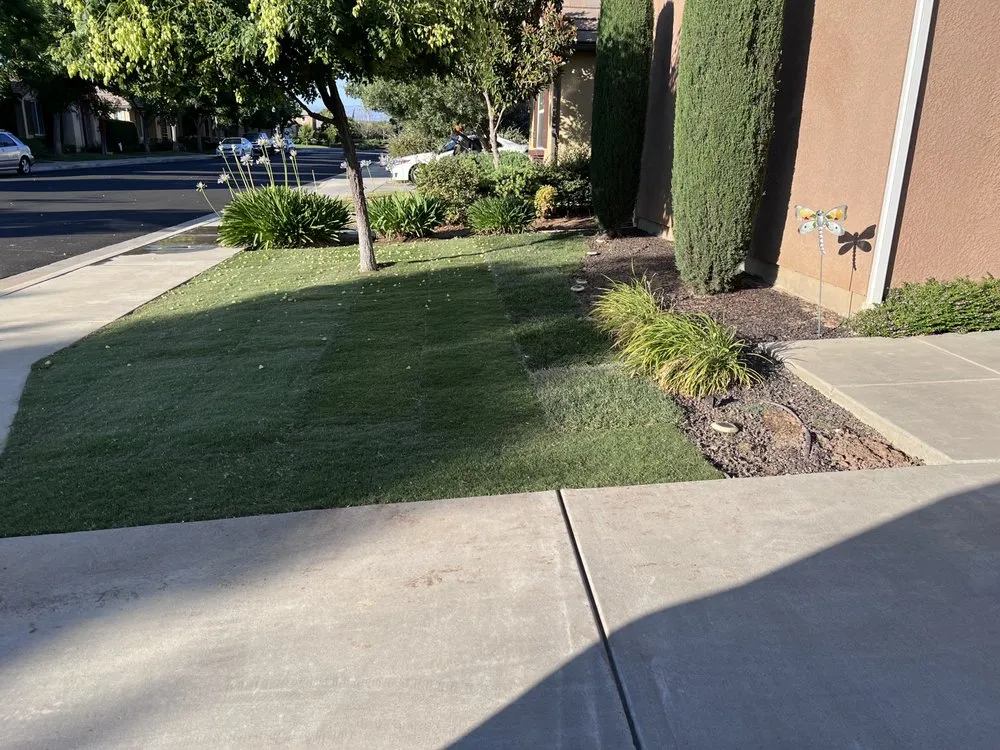 Trusted yard maintenance near you in Fresno, CA by Gover Green Landscaping