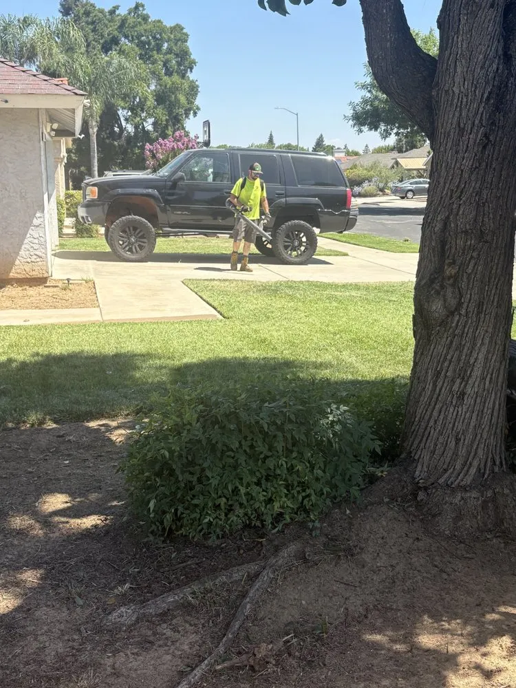 Trusted yard cleanup service for residential properties in Fresno, CA by Gover Green Landscaping