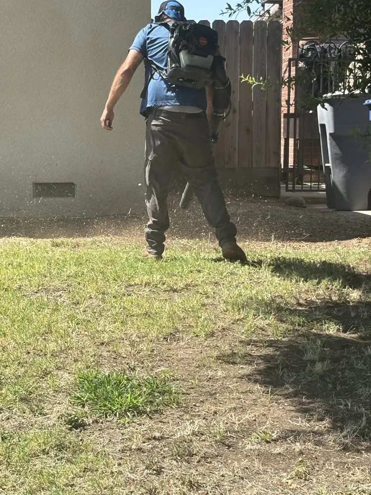 Expert yard maintenance experts serving Fresno, CA - Gover Green Landscaping
