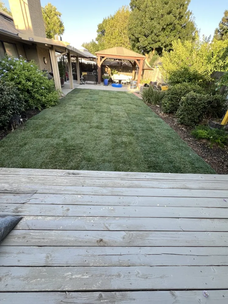 Professional yard maintenance in Fresno, CA - Gover Green Landscaping