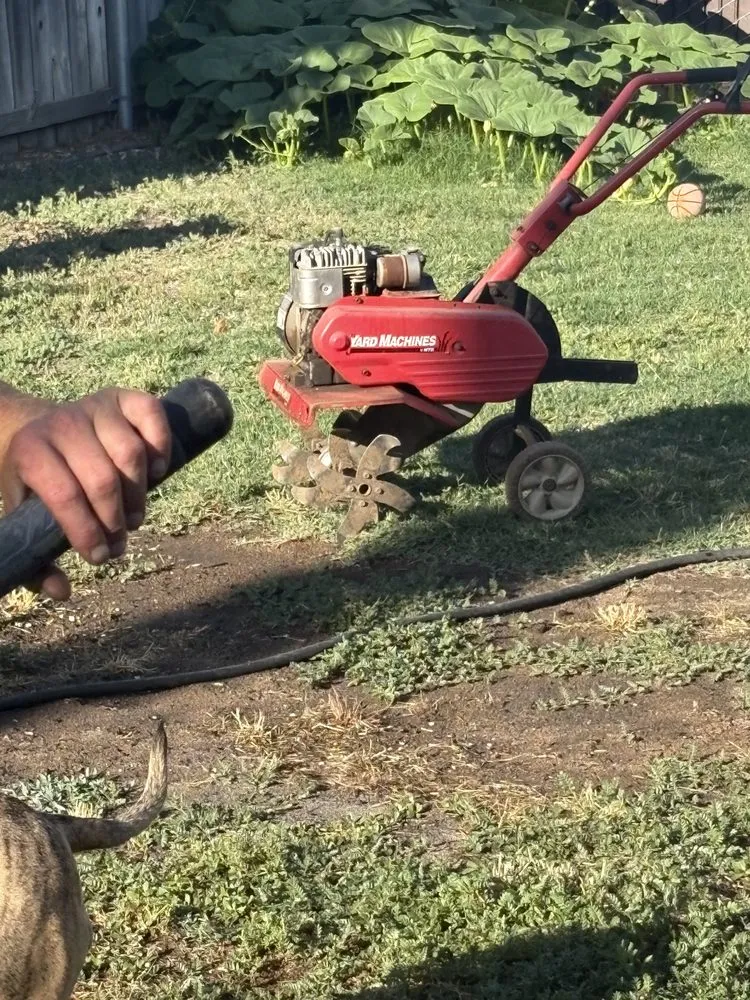 Reliable landscaping services experts serving Fresno, CA - Gover Green Landscaping