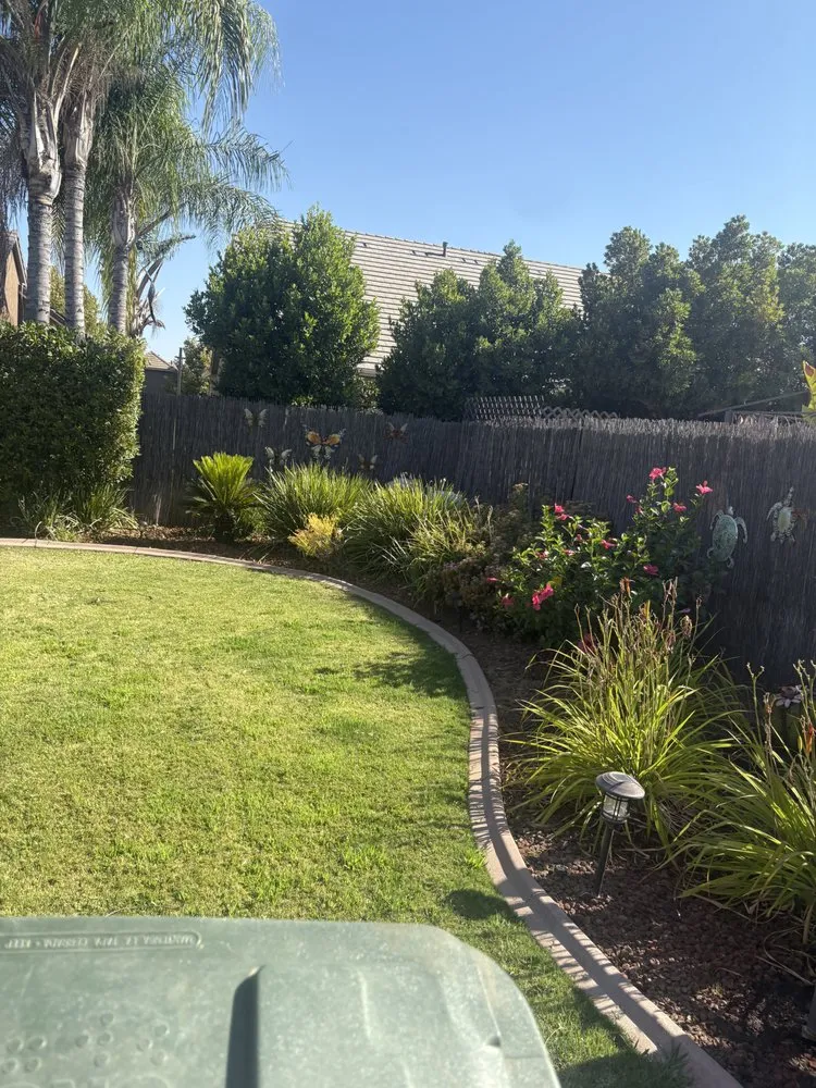 Custom yard cleanup service in Fresno, CA by Gover Green Landscaping