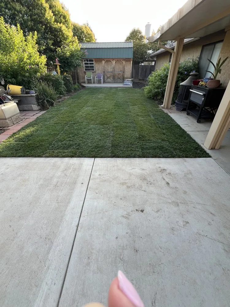 Top-rated yard cleanup service in Fresno, CA - Gover Green Landscaping