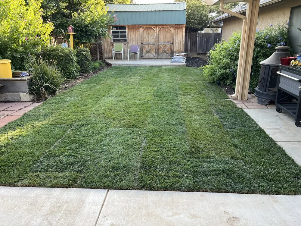 Affordable landscaping services in Fresno, CA by Gover Green Landscaping