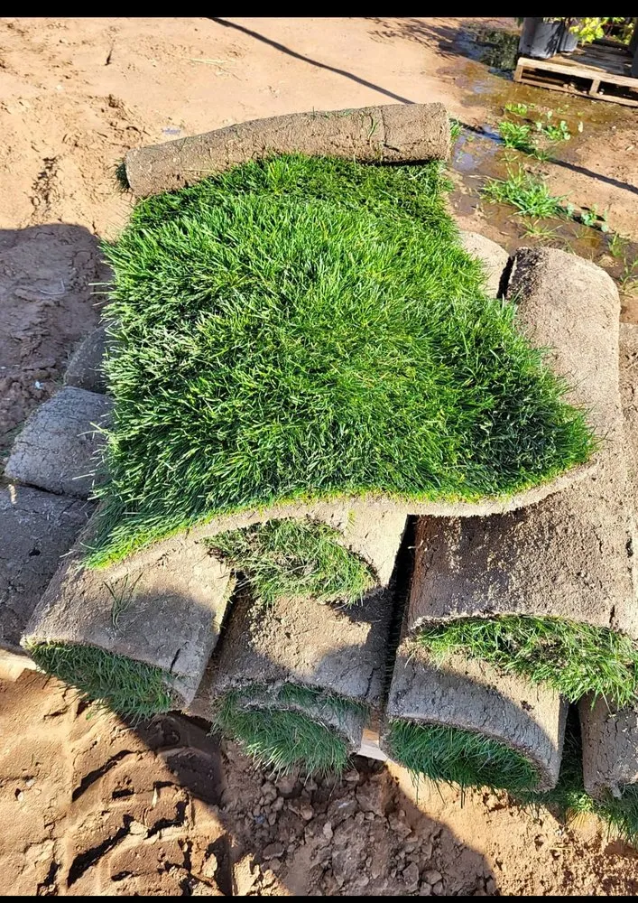 Professional lawn mowing service with custom design in Fresno, CA by Gover Green Landscaping