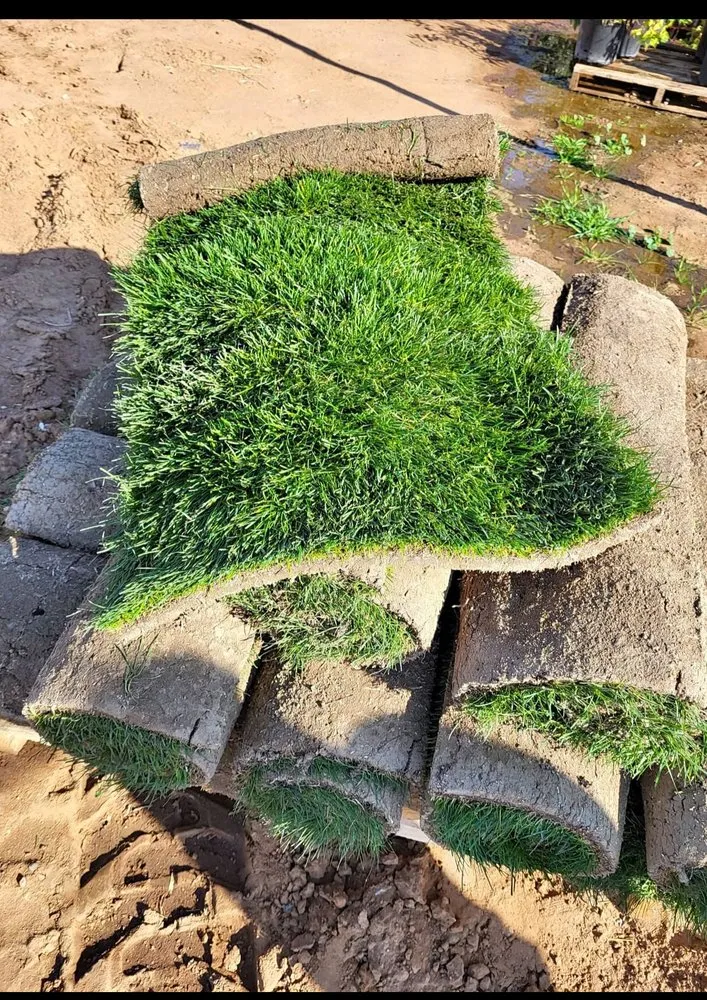 Affordable residential landscaping in Fresno, CA by Gover Green Landscaping