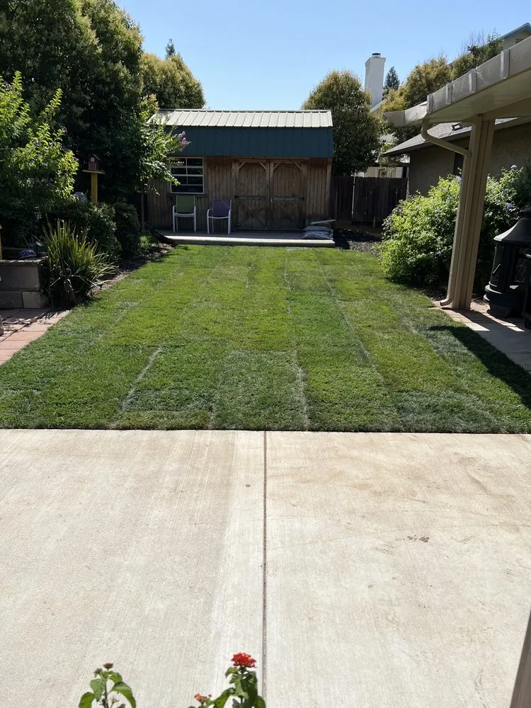 Trusted residential landscaping for outdoor upgrades in Fresno, CA by Gover Green Landscaping